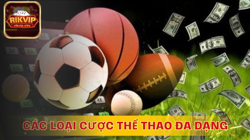 Tỷ lệ kèo cạnh tranh và đa dạng trên Sports RikVIP.
